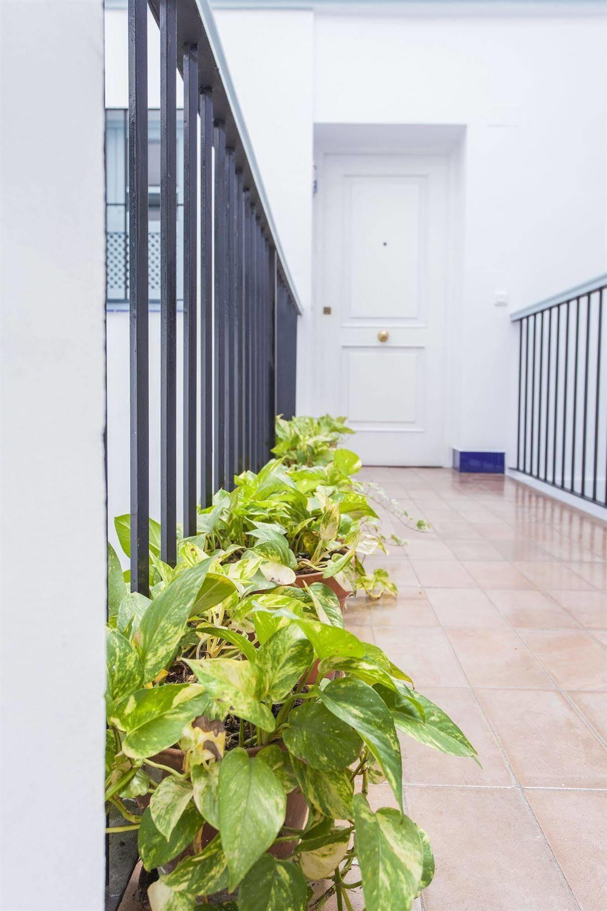 Santa Cruz Appartement Séville